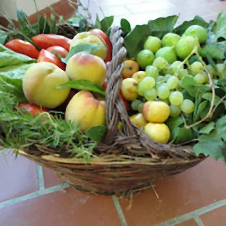 Lacasadicampagna Agricola Couette-café *
