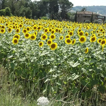 Lacasadicampagna Agricola *