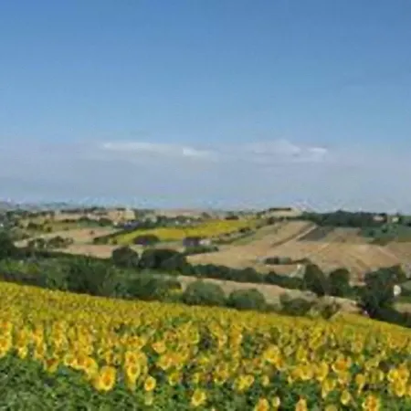 Lacasadicampagna Agricola Bed & Breakfast *