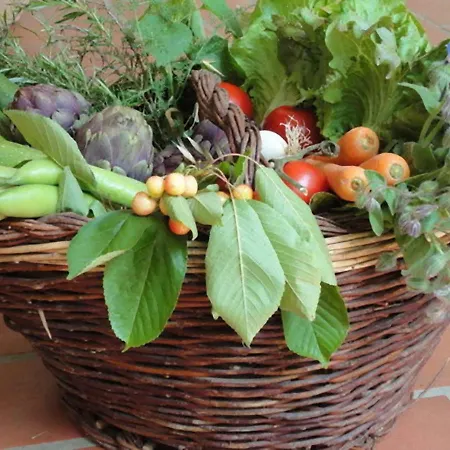 Bed & Breakfast Lacasadicampagna Agricola
